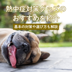 熱中症対策グッズのおすすめ