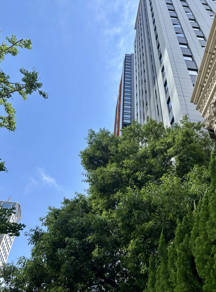 日差しの強い日の青空と街のビル