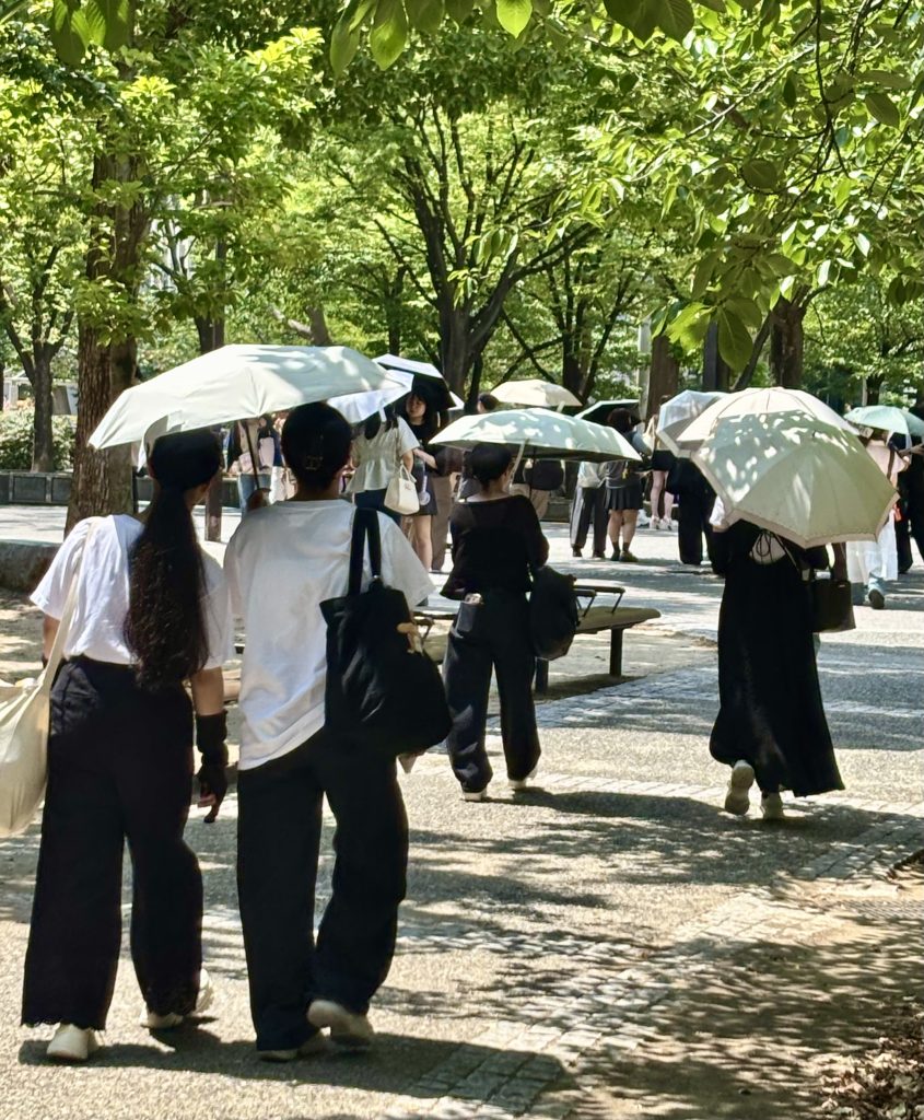 並木道で白い日傘をさして歩く人たち